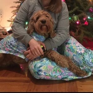 Lilly Pulitzer Mom and Dog Matching Pajamas! Size M women’s, L/XL dog!